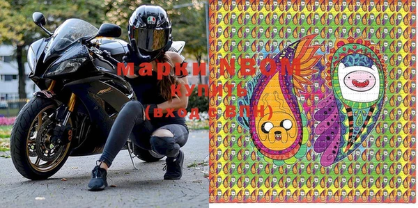 мдпв Бородино