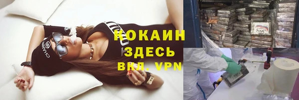 молекула духа Володарск