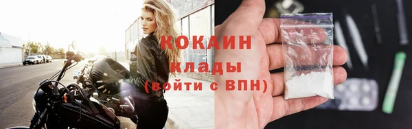 мдпв Бородино