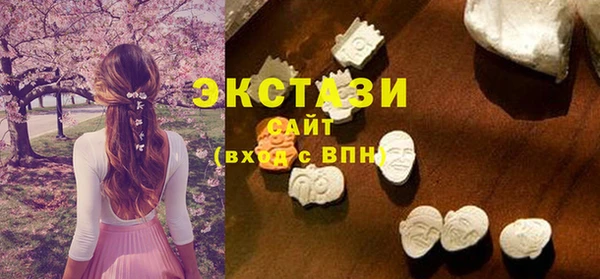 мдпв Бородино