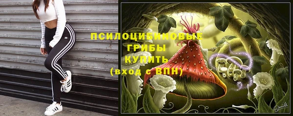 мдпв Бородино