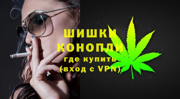 мдпв Бородино