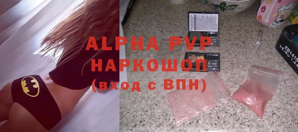 мдпв Бородино