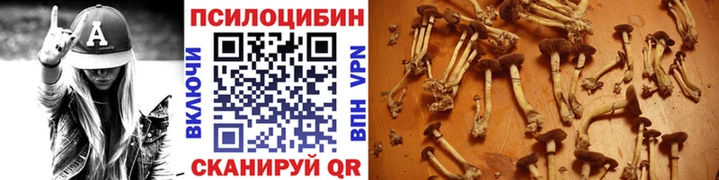 Купить  Артёмовск  Псилоцибиновые грибы Psilocybe 