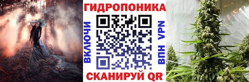 Купить где  Артёмовск  Конопля Bruce Banner 